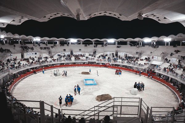 Was sind die Vor- und Nachteile von Carbonfahrrädern?